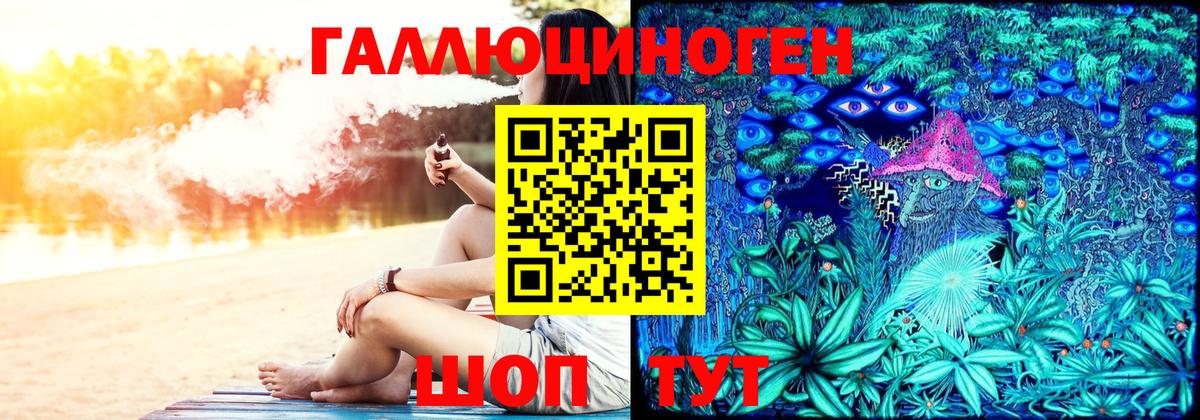 Псилоцибиновые грибы Psilocybe Шарыпово