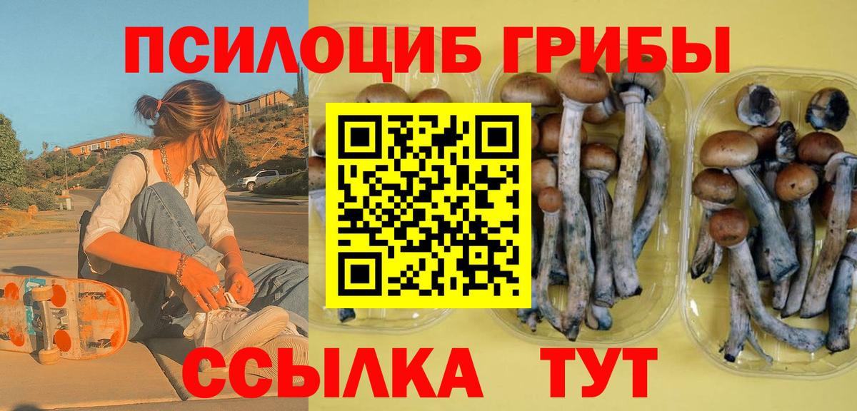 Шарыпово  Псилоцибиновые грибы мухоморы  Вход с VPN 